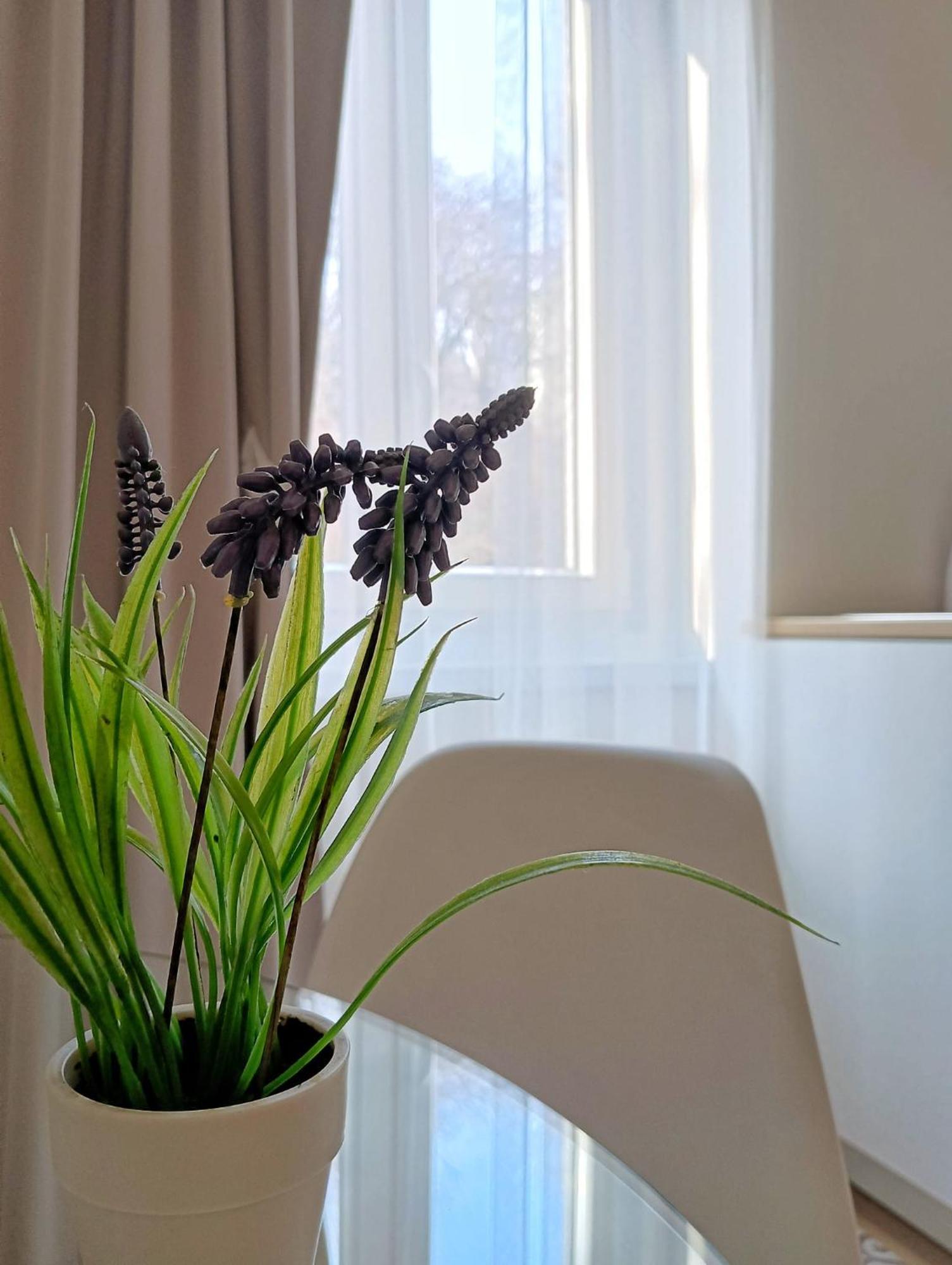Tesa2 Casa Vacanze Триест Екстериор снимка
